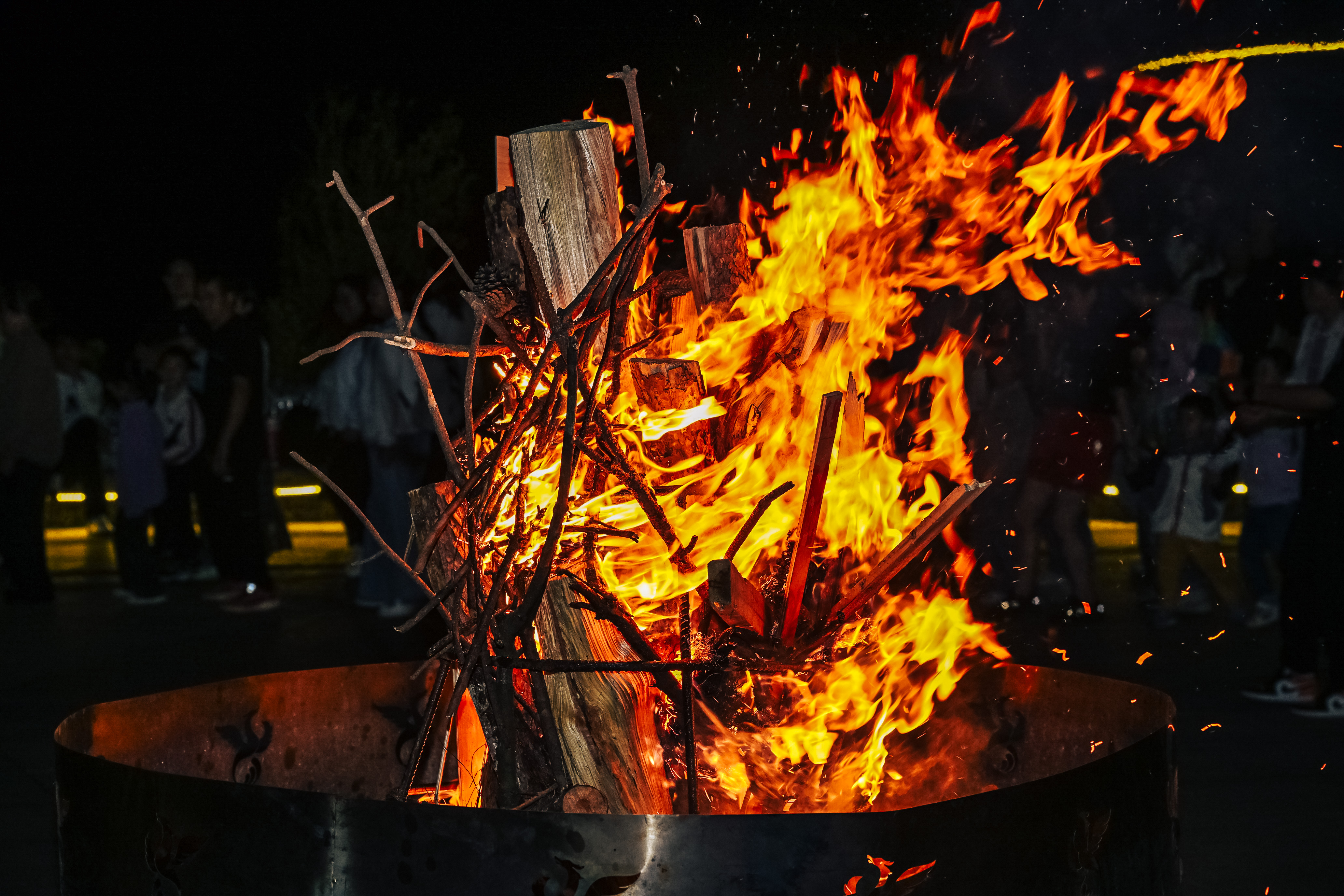DSC_6351__14949553.jpg